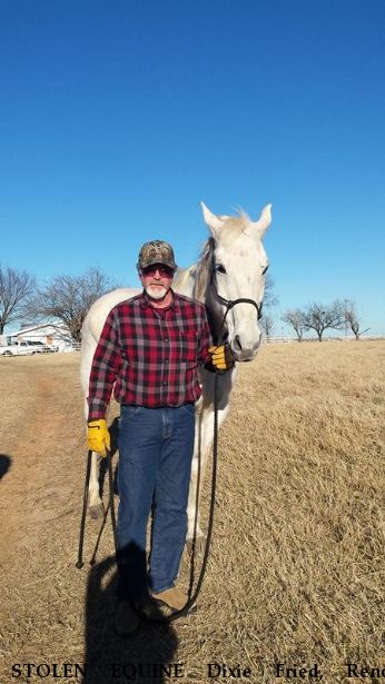 STOLEN EQUINE Dixie Fried, Reno, RECOVERED 1/23/2017 Near Nelson, MO, 65347